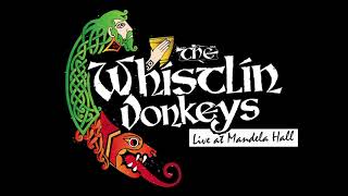 The Whistlin Donkeys  Star Of County Down  LIVE at Mandela Hall [upl. by Coben]