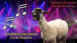 CABRAS CANTANDO  Astronomía meme ataúd africanos [upl. by Lutero]