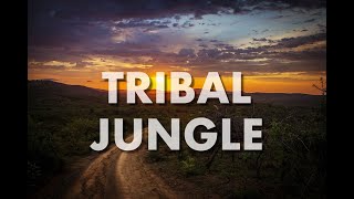 IN THE JUNGLE  Tribal Jungle Nature Africa Ethnic Instrumental Background Music For Videos [upl. by Yak823]