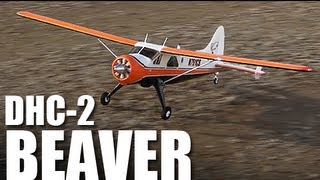 Flite Test  Flyzone DHC2 Beaver  REVIEW [upl. by Hortensa]