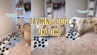 DOG TALKS TO OWNER USING BUTTONS  Talking dog Tiktok compilation [upl. by Lauhsoj908]