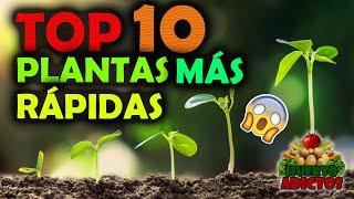 Los 10 Cultivos Que Crecen Más Rápido 🌱Huertos Urbanos  Huerto Adictos [upl. by Omlesna]