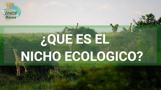 ¿QUE ES UN NICHO ECOLOGICO TIPOS Y EJEMPLOS [upl. by Sander]