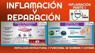 INFLAMACIÓN Y REPARACIÓN PATOLOGÍA ROBBINS  GuiaMed [upl. by Diarmuid464]