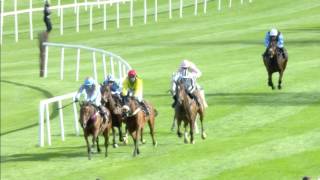 Punchestown Festival Highlights  DAY 1 [upl. by Eednus640]