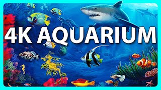 The Best 4K Aquarium for Relaxation 🐠 Relaxing Oceanscapes  Sleep Meditation 4K UHD Screensaver [upl. by Medora543]