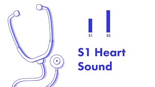 S1 Heart Sound  Learn How to Auscultate Part 8 [upl. by Florrie]