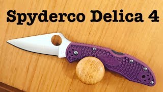 Spyderco Delica 4  GOAT or Obsolete [upl. by Alethea50]