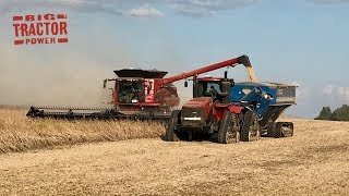 Case IH 9240 AxialFlow Combines Harvesting Soybeans [upl. by Urbannai]