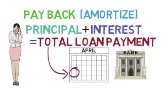 Loans 101 Loan Basics 13 [upl. by Cristy]