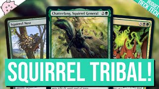 Chatterfang Squirrel General  Its Squirrel Tribal Time  Budget Commander Deck Tech  EDH  MTG [upl. by Addiel458]