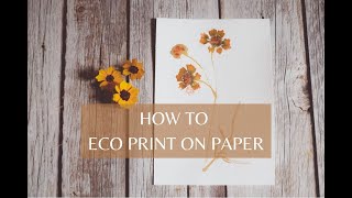 HOW TO ECO PRINT ON PAPER  THE SECRET TO CLEAR PRINTS  BOTANICAL PRINTING  NATURAL DYE [upl. by Almita81]