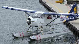 De Havilland Canada DHC2 Beaver Engine StartUp amp Takeoff [upl. by Hacim618]