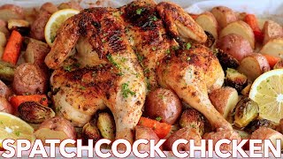 Roasted Spatchcock CHICKEN Recipe  ONE PAN Chicken Dinner [upl. by Gebler882]