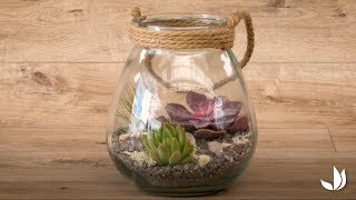 DIY végétal  terrarium sans entretien  Truffaut [upl. by Atilam946]