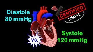 Blood Pressure Measurement  Clinical Examination [upl. by Parry2]