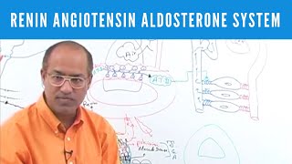 Activating angiotensin 2  Renal system physiology  NCLEXRN  Khan Academy [upl. by Aseeral246]