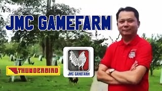 JMC GAMEFARM  Thunderbird [upl. by Trocki]