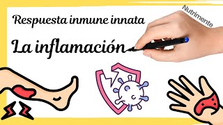 La inflamación RESPUESTA INMUME INNATA [upl. by Bethezel]