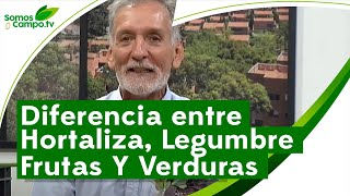 Diferencia Entre Hortaliza Legumbres Frutas Y Verduras  Somos CampoTv [upl. by Delores]