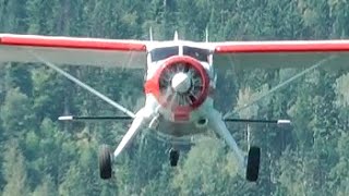 DHC2 Beaver Low Overhead Approach and Landing [upl. by Brady539]