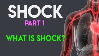 What Is Shock  Shock Pathophysiology  Shock Part 1 [upl. by Akined632]