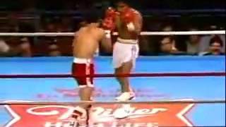 Wilfredo Gomez vs Lupe Pintor［Full Fight］ [upl. by Schellens]