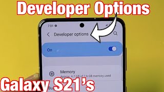 Galaxy S21s How to Enable  Turn On Developer Options [upl. by Haropizt543]