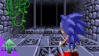 Sonic and the Lost Labyrinth [upl. by Andriana]