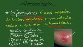 Inflamação Aguda  Resumo  Patologia Geral [upl. by Fiden]