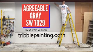 Agreeable Gray SW 7029 by Sherwin Williams [upl. by Tsui]