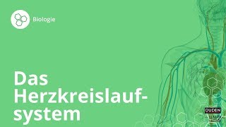 Das Herzkreislaufsystem So funktionierts – Biologie  Duden Learnattack [upl. by Aiciles]