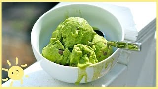 EAT  Mint Chocolate Chip Frozen Yogurt [upl. by Borras]