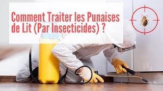 Comment Traiter les Punaises de Lit  Punaise de Lit Traitement [upl. by Isnyl317]