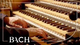 Bach  Concerto in D minor BWV 596  Van Doeselaar  Netherlands Bach Society [upl. by Otnas982]