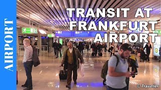 TRANSIT WALK AT FRANKFURT Airport FRA Terminal 1  Connection Flight Transfer Arriving amp Departing [upl. by Merci267]