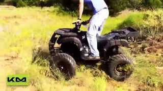 Tao Tao Rhino 250cc Utility ATV [upl. by Harvard]