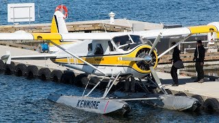 Kenmore Air DHC2 Beaver Landing Startup and Takeoff  CYHC [upl. by Modnar]