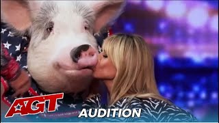 Pigs Got Talent Heidi Klum KISSES Talented Pig For quotGood Luckquot [upl. by Nehepts]